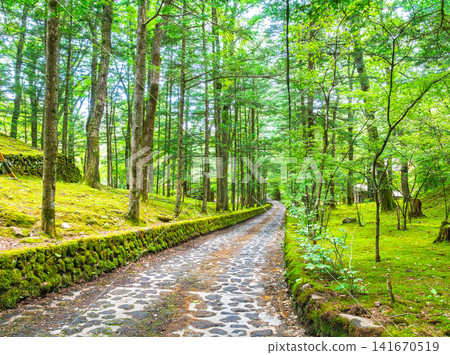 Happy Valley, a villa area in Old Karuizawa, and the cobblestone paths loved by Yasunari Kawabata. Happy Valley, a villa area in Old Karuizawa, and the cobblestone paths loved by Yasunari Kawabata. 141670519
