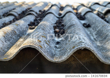 Weathered wavy roof sheets closeup Weathered wavy roof sheets closeup 141670694