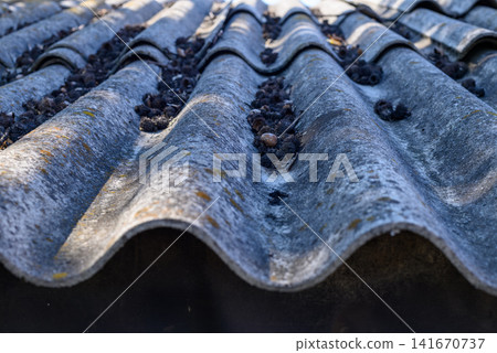 Weathered corrugated roof closeup 141670737