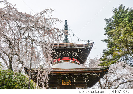 吉野、遠南院、多寶塔 吉野、遠南院、多寶塔 141671022
