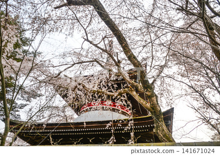 Yoshino, Tōnan-in Temple, Tahōtō (Tahōtō Pagoda) Yoshino, Tōnan-in Temple, Tahōtō (Tahōtō Pagoda) 141671024