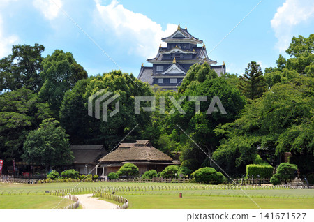 岡山的夏天:後樂園的草坪與岡山城 岡山的夏天:後樂園的草坪與岡山城 141671527