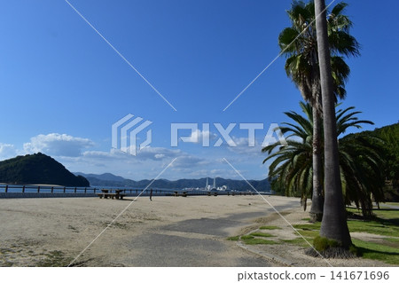 Hiroshima, Okunoshima, Rabbit Island Hiroshima, Okunoshima, Rabbit Island 141671696