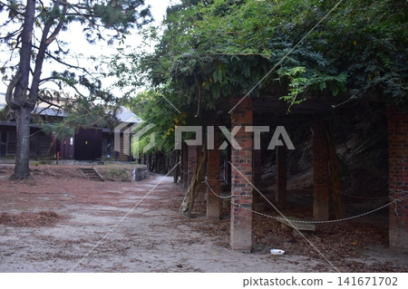 Hiroshima, Okunoshima, Rabbit Island Hiroshima, Okunoshima, Rabbit Island 141671702