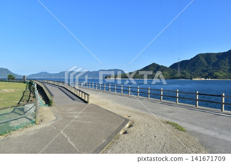 Hiroshima, Okunoshima, Rabbit Island Hiroshima, Okunoshima, Rabbit Island 141671709
