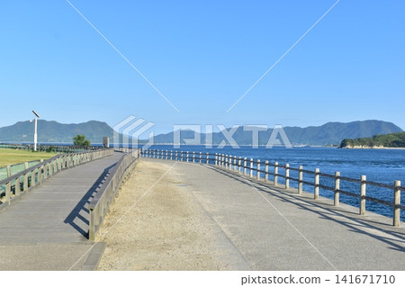 Hiroshima, Okunoshima, Rabbit Island 141671710