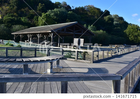 Hiroshima, Okunoshima, Rabbit Island Hiroshima, Okunoshima, Rabbit Island 141671715