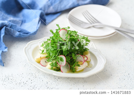 Chervil, Camembert cheese, and radish salad Chervil, Camembert cheese, and radish salad 141671883