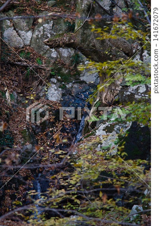 美作阿爾卑斯山:卯城山、駒之山、船木山 美作阿爾卑斯山:卯城山、駒之山、船木山 141672079