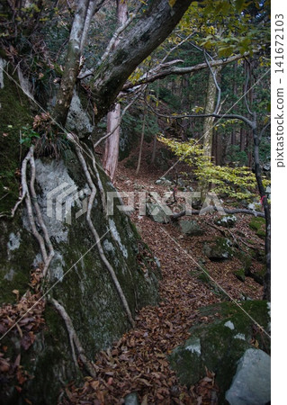 Mimasaka Alps: Ushiroyama, Komanooyama, Funakiyama 141672103