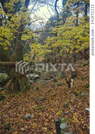 美作阿爾卑斯山：卯城山、駒之山、船木山 141672115