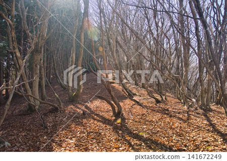 Mimasaka Alps: Ushiroyama, Komanooyama, Funakiyama Mimasaka Alps: Ushiroyama, Komanooyama, Funakiyama 141672249
