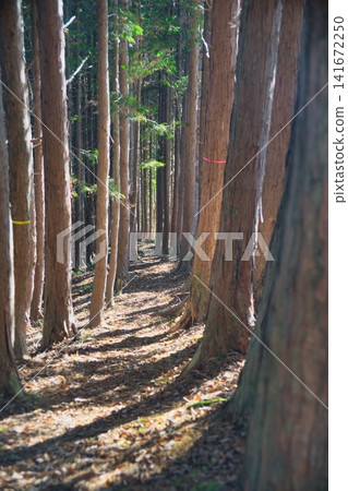Mimasaka Alps: Ushiroyama, Komanooyama, Funakiyama Mimasaka Alps: Ushiroyama, Komanooyama, Funakiyama 141672250