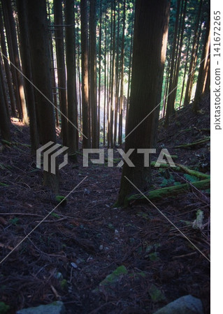 Mimasaka Alps: Ushiroyama, Komanooyama, Funakiyama Mimasaka Alps: Ushiroyama, Komanooyama, Funakiyama 141672265