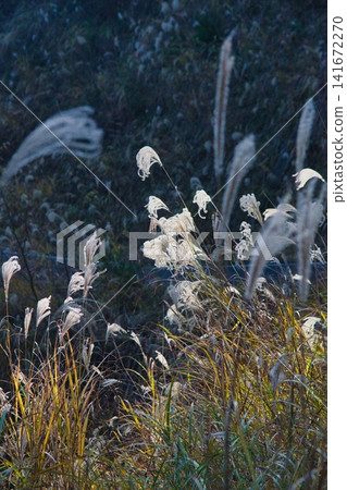 Mimasaka Alps: Ushiroyama, Komanooyama, Funakiyama Mimasaka Alps: Ushiroyama, Komanooyama, Funakiyama 141672270