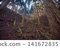 Mimasaka Alps: Ushiroyama, Komanooyama, Funakiyama 141672835