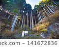 Mimasaka Alps: Ushiroyama, Komanooyama, Funakiyama 141672836