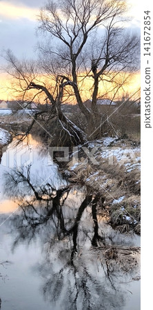 Winter evening landscape with trees reflected in the water Winter evening landscape with trees reflected in the water 141672854