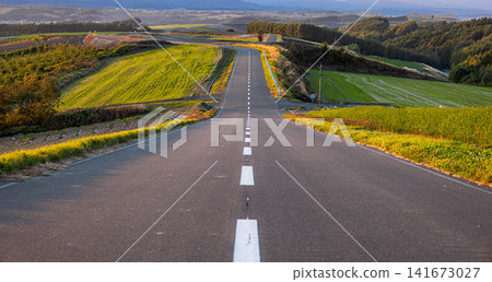 An impressive and simple roadscape in Biei, Hokkaido, at autumn twilight. 141673027