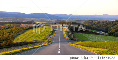秋日黃昏時分,北海道美瑛市一條令人印象深刻且簡潔的道路景觀。 秋日黃昏時分,北海道美瑛市一條令人印象深刻且簡潔的道路景觀。 141673028