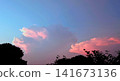 Cumulonimbus illuminated by the setting sun 141673136