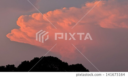 Clouds dyed in sunset 141673164
