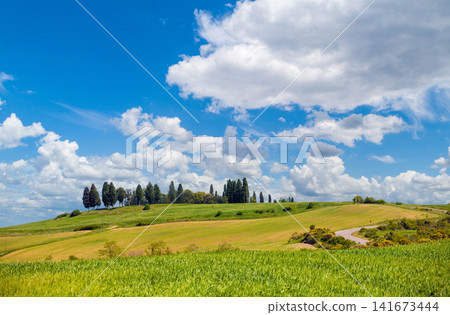 Beautiful nature of Italy. Tuscany landscape in spring Beautiful nature of Italy. Tuscany landscape in spring 141673444