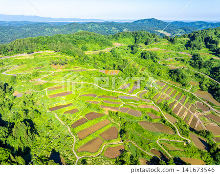 Hoshitoge Rice Terraces (Tokamachi City, Niigata Prefecture) Hoshitoge Rice Terraces (Tokamachi City, Niigata Prefecture) 141673546