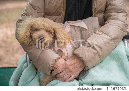 An elderly person holding a dog wearing a sweater; an image of pet interaction. An elderly person holding a dog wearing a sweater; an image of pet interaction. 141673985