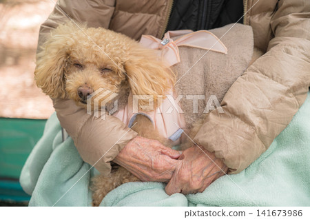 A dog finding peace in the arms of an elderly person – an image of a moment of comfort and tranquility. A dog finding peace in the arms of an elderly person – an image of a moment of comfort and tranquility. 141673986