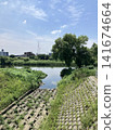 Landscape with river 141674664