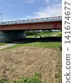 Grass growing on the riverbank 141674677