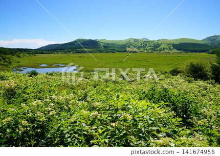 Hachijigahara Marsh Hachijigahara Marsh 141674958