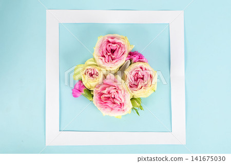 Conceptual flat lay composition featuring a white paper frame with a cluster of pink and cream roses and small pink carnations centered inside, arranged on a turquoise background. Minimal floral and Conceptual flat lay composition featuring a white paper frame with a cluster of pink and cream roses and small pink carnations centered inside, arranged on a turquoise background. Minimal floral and 141675030