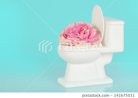 Conceptual still life of a small white toy toilet with an open lid, topped by a lush pink rose in full bloom, set against a bright turquoise background with plenty of negative space for text. Minimal, Conceptual still life of a small white toy toilet with an open lid, topped by a lush pink rose in full bloom, set against a bright turquoise background with plenty of negative space for text. Minimal, 141675031