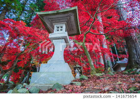 【清水寺】迷人的世界【長野市】 【清水寺】迷人的世界【長野市】 141675654