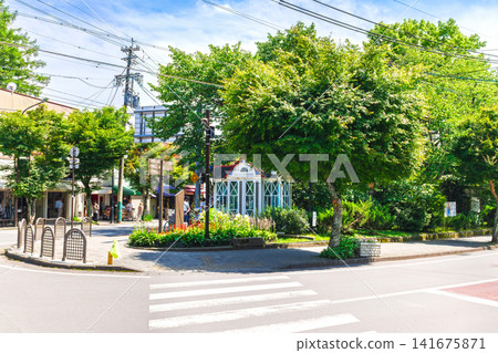 輕井澤的夏天:舊輕井澤扶輪社 輕井澤的夏天:舊輕井澤扶輪社 141675871