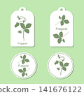 Wild Strawberry Plant 141676122