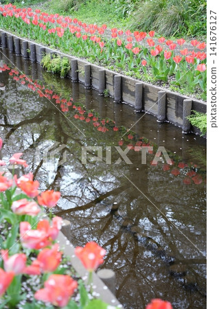 春溪路 春溪路 141676127