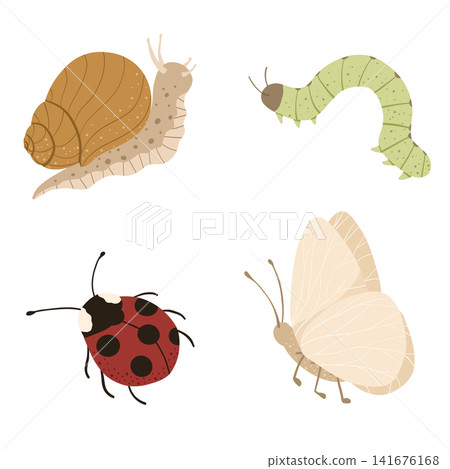 Snail, butterfly, caterpillar, ladybug. Cute cartoon insect characters set. Simple flat small bugs. Childish vector illustrations isolated on white background. Print for stickers, logo, design. Snail, butterfly, caterpillar, ladybug. Cute cartoon insect characters set. Simple flat small bugs. Childish vector illustrations isolated on white background. Print for stickers, logo, design. 141676168