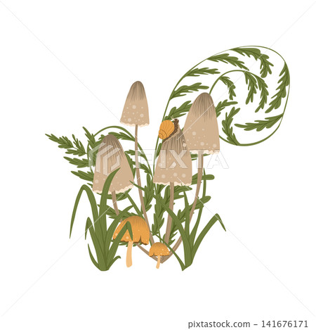 Mushroom isolated element. Autumn composition with honey agaric, fern leaves, snail. Fall mushrooms vector illustration for sticker, logo, print. White background. Mushroom isolated element. Autumn composition with honey agaric, fern leaves, snail. Fall mushrooms vector illustration for sticker, logo, print. White background. 141676171