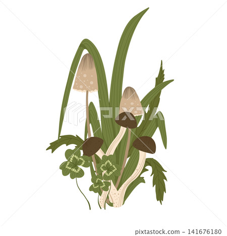 Mushroom isolated element. Autumn honey agaric, shimeji, grass leaves, clover leaves. Fall mushrooms vector illustration for sticker, logo, print. White background. Mushroom isolated element. Autumn honey agaric, shimeji, grass leaves, clover leaves. Fall mushrooms vector illustration for sticker, logo, print. White background. 141676180
