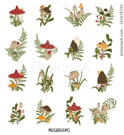 Mushrooms poster. Set of autumn mushrooms with leaves, berries, grass. Fall mushrooms for sticker, logo, children book, print. Isolated vector element. White background. Mushrooms poster. Set of autumn mushrooms with leaves, berries, grass. Fall mushrooms for sticker, logo, children book, print. Isolated vector element. White background. 141676193