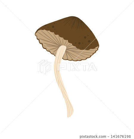 Parasol mushroom isolated illustration. Autumn honey agaric mushroom. Fall mushroom for sticker, logo, children book, print. Isolated vector element. White background. Parasol mushroom isolated illustration. Autumn honey agaric mushroom. Fall mushroom for sticker, logo, children book, print. Isolated vector element. White background. 141676198