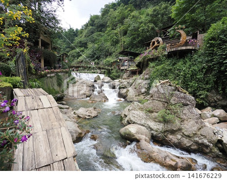 越南沙巴貓貓村 越南沙巴貓貓村 141676229