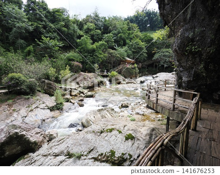 越南沙巴貓貓村 越南沙巴貓貓村 141676253