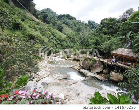 越南沙巴貓貓村 越南沙巴貓貓村 141676256