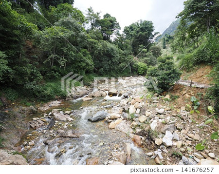 越南沙巴貓貓村 141676257