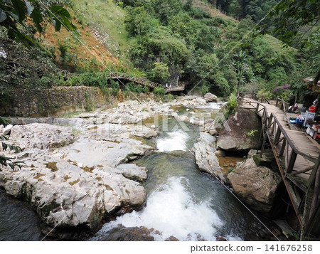 越南沙巴貓貓村 越南沙巴貓貓村 141676258