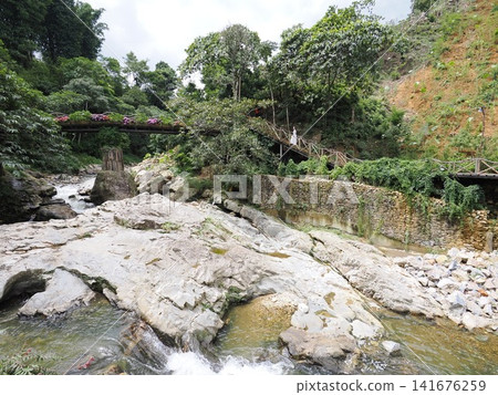 越南沙巴貓貓村 越南沙巴貓貓村 141676259
